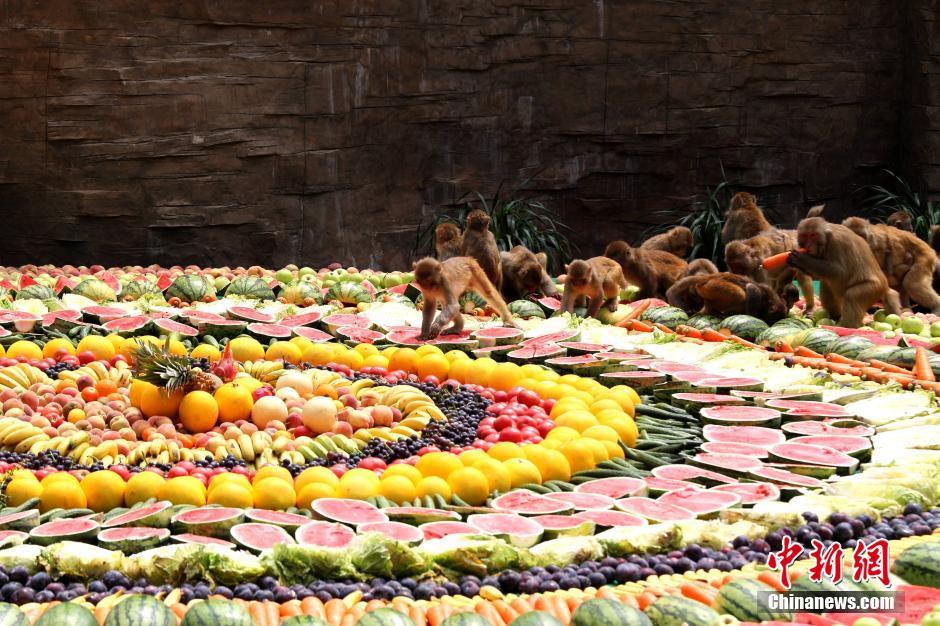 8000余斤超級水果拼盤宴請“美猴王” 8000余斤超級水果拼盤宴請“美猴王”