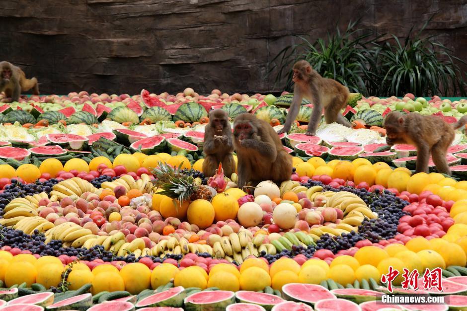 8000余斤超級水果拼盤宴請“美猴王” 8000余斤超級水果拼盤宴請“美猴王”