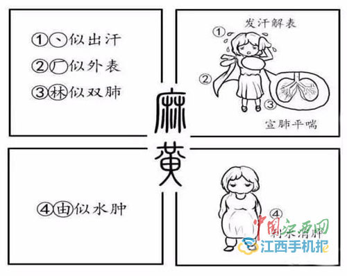 中藥竟可以這樣學!高校中藥漫畫書受熱捧