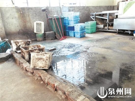 福建泉州多家餐具消毒廠環(huán)境堪憂 地板污水橫流