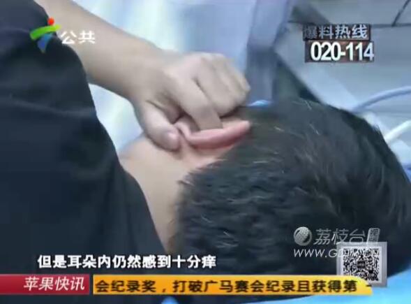 驚恐!男子耳內(nèi)長滿白色爬蟲,撕咬耳道痛不欲生!