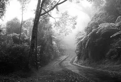 男子陪妻戰勝癌癥病魔 被妻罵