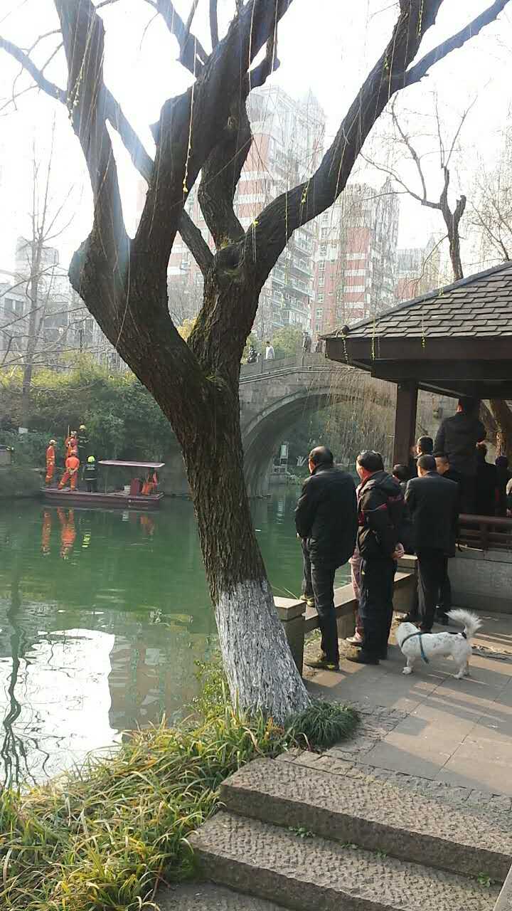 webwxgetmsgimg (2).jpg webwxgetmsgimg (2).jpg